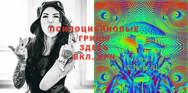 индика Абдулино