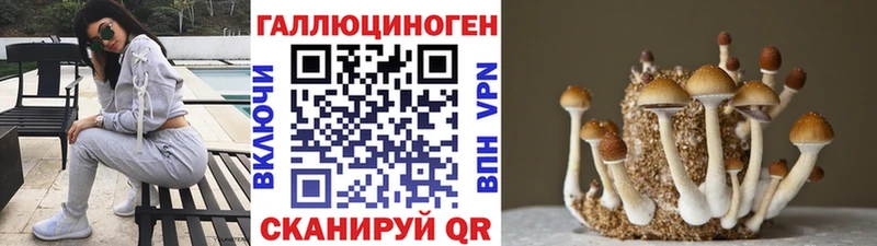 Галлюциногенные грибы Psilocybine cubensis  где найти наркотики  Палласовка 